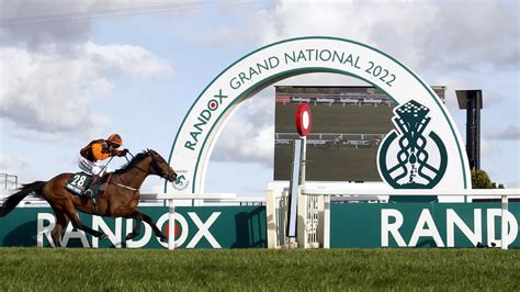 grand national finishers|Where each horse finished in Grand National at Aintree.